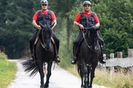 Referenzen Bild 48